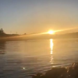 Meet your Posher, Nury